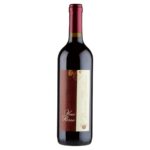 WhatsApp Image 2025-09-16 at 15.43.26