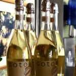 WhatsApp Image 2025-09-16 at 15.43.26 (3)